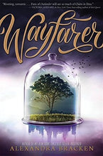 Load image into Gallery viewer, Wayfarer