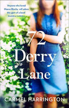 Load image into Gallery viewer, The Woman At 72 Derry Lane
