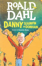 Load image into Gallery viewer, Danny seaimpin an domhain
